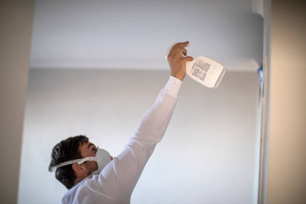 Best Mold Testing  in Norton, VA