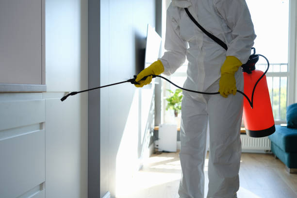 Best Affordable Mold Removal  in Norton, VA