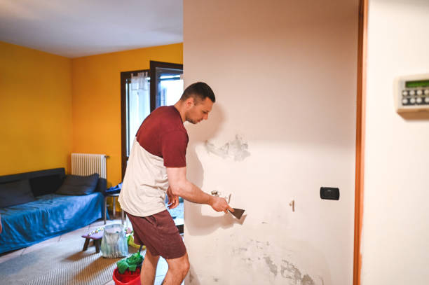 Best Mold Cleaning Services  in Norton, VA